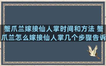 蟹爪兰嫁接仙人掌时间和方法 蟹爪兰怎么嫁接仙人掌几个步骤告诉你